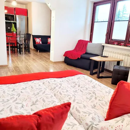 Apartment Hafcik Przyjazne Dzieciom Poronin