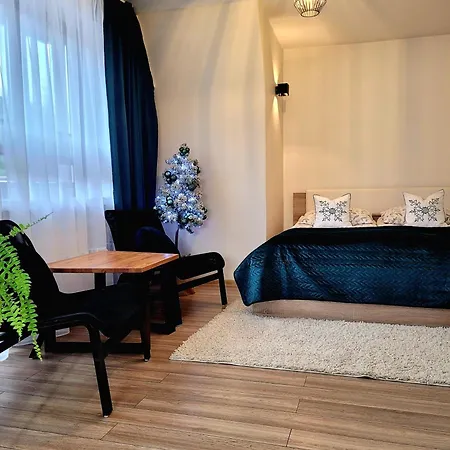 Apartmán Hafcik Przyjazne Dzieciom Poronin